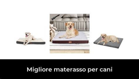 46 Migliore Materasso Per Cani Nel 2022 Secondo Gli Esperti