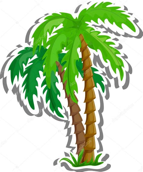 Vector Palmeras Tropicales Aisladas Sobre Ilustraci N De Fondo Blanco