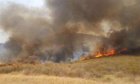 Por Los Incendios Y La Sequía El Gobierno Declaró La Emergencia