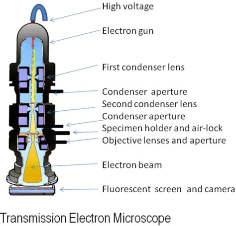 10 Facts about Electron Microscope - Fact File