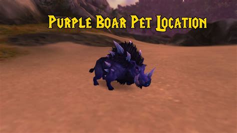 Wow Classic Rare Hunter Pets Locations