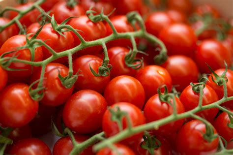 Tomate Cerise Grappe Belgique Cat Salades Tomates Courgettes