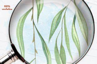 Pussy Willow Watercolor Clipart Graphic By Cheryty Creative Fabrica