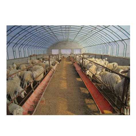 Design Structure Best Goat House Prefabricated Pig Cow Sheep Steel Farm