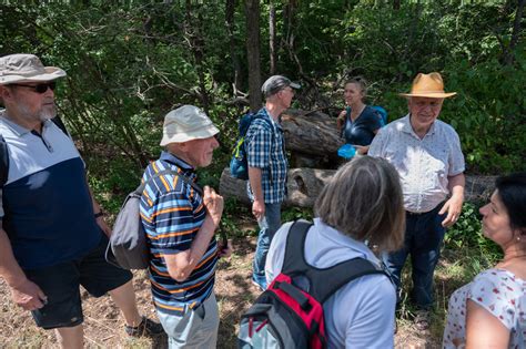 Walk And Talk Ein Voller Erfolg Integrata Stiftung