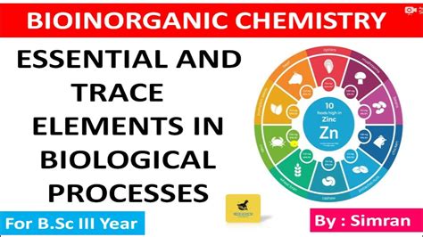 Essential And Non Essential Elements Trace And Bulk Elements Bio