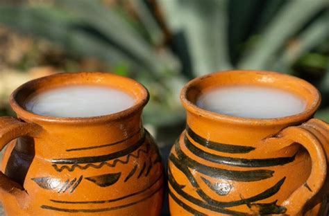 The Renaissance Of Pulque Mexicos White Gold Ancestral Drink