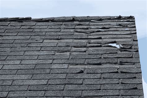 How A Hurricane Damages A Roof? | Christian Brothers Roofing