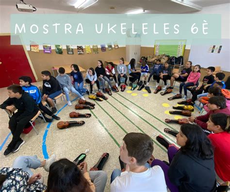 Ukeleles Escola Torre Balldovina