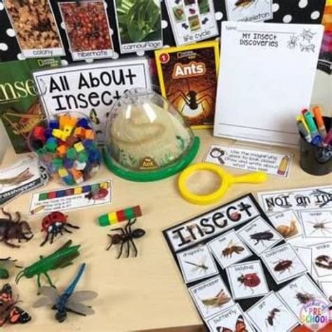 All About Insects Science For Little Learners Preschool Pre K And Kinder Make Lear Science