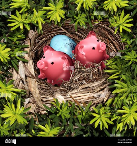 Nest Egg Tree Hi Res Stock Photography And Images Alamy