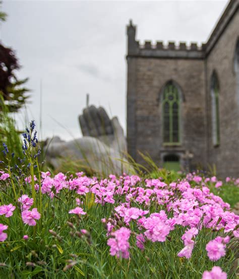 Ennis Deemed One Of Cleanest Towns In Ireland The Clare Echo News