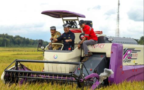 Panen Raya Padi Semarang Tembus 7ton Per Hektar Jagad Tani