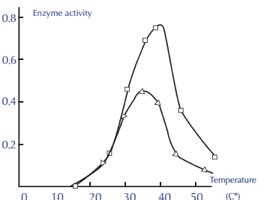 Enzyme Activity Graph Temperature