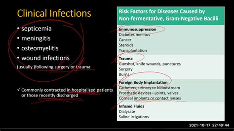 Non Fermentative Gram Negative Bacilli Youtube