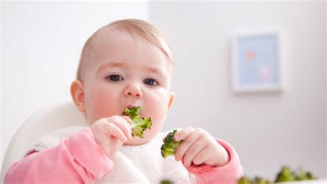 Baby Led Weaning un método para que los bebés coman con más