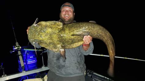 Flathead catfish delight! : Fishing