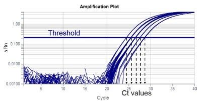 Understanding Ct Values In Real Time PCR 49 OFF