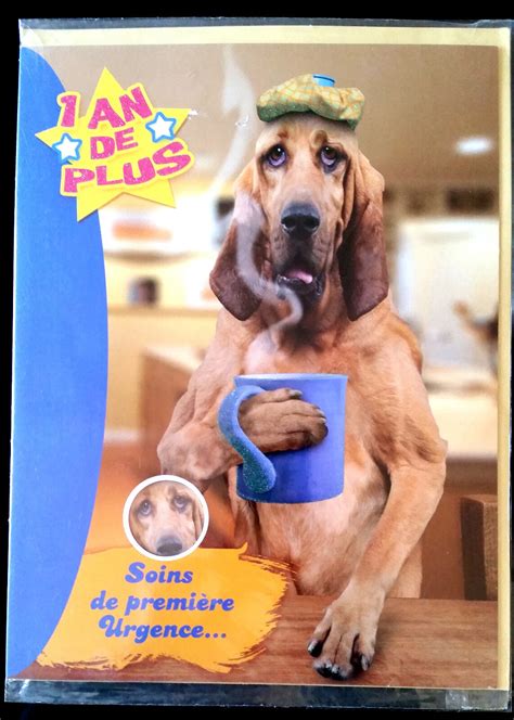 Arriba Imagen Carte D Anniversaire Humoristique Fr Thptnganamst