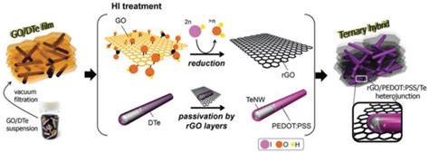 Schematic Illustration Of The Designed RGO PEDOT PSS Te NWs Composite