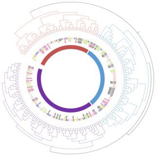 Dendrogram Constructed With UPGMA Showing The Genetic Relationship Of