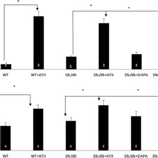 A Quantification Of Fibrosis By Photoshop Illustrates The Significant