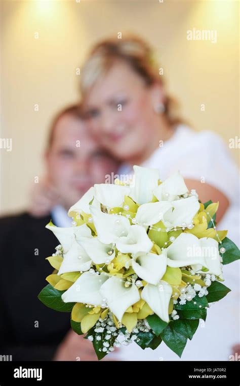 Beautiful Young Wedding Couple Bride With Her Groom And Wedding