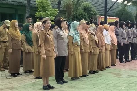 Cara Melihat Formasi Cpns Dan Pppk Melalui Sscasn Bkn