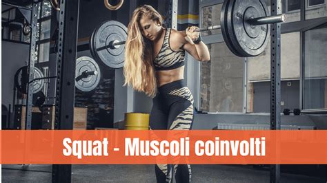 Squat Muscoli Coinvolti Guida Completa Alessio Ferlito