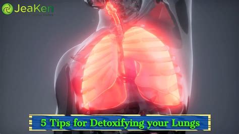 5 Tips For Detoxifying Your Lungs Youtube