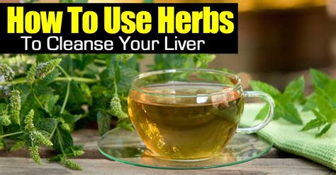 How To Use Herbs To Cleanse Your Liver