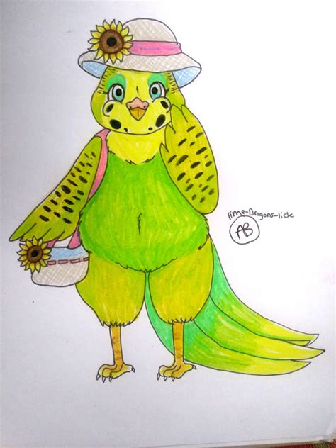 Lovely Budgie By Lime Dragons Lick On Deviantart