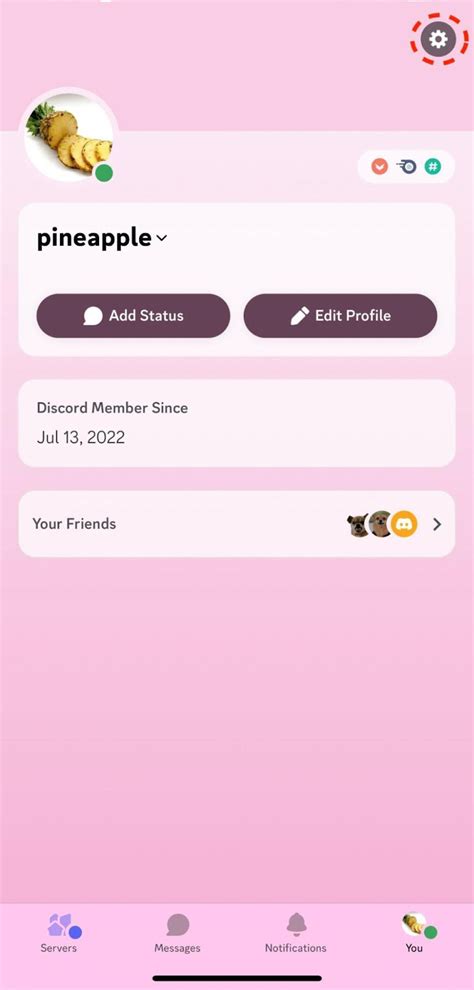 Getting Started On Mobile Discord