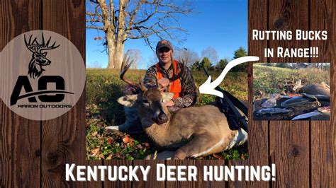 Kentucky Deer Season 2024 Corie Lauren