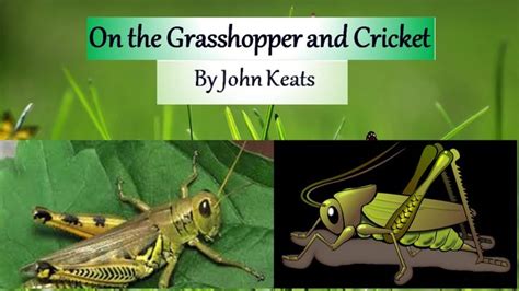 Poem On The Grasshopper And Cricket John Keats Explanation Of The