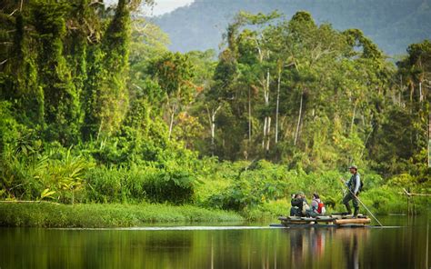 Gu A Para Viajar Al Parque Nacional Del Manu Blog Denomades