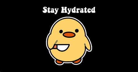 Stay Hydrated Meme Stickers Duck With Knife Adult Stickers Self Care