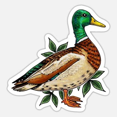 Stickers colvert à acheter en ligne Spreadshirt