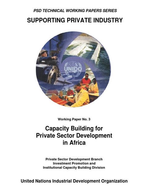 Capacity Building For Private Sector Development In Africa 01 0 Pdf