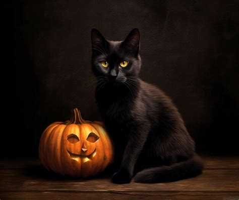 Premium Ai Image A Black Cat Sitting Next To A Pumpkin