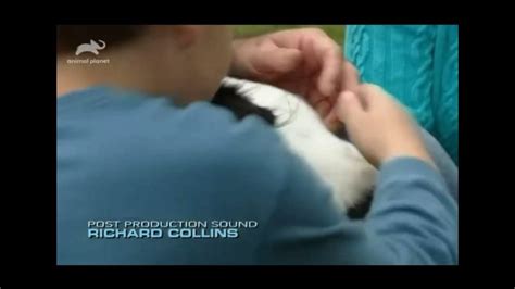 Animal Cops Houston Ending Credits Youtube