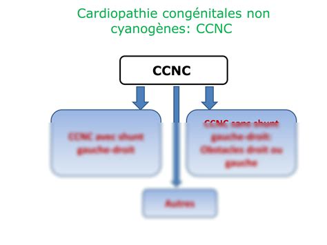 Solution Cardiopathies Cong Nitales Studypool