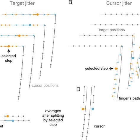 Schematic Representation Of The Stimulus And Analysis Target And