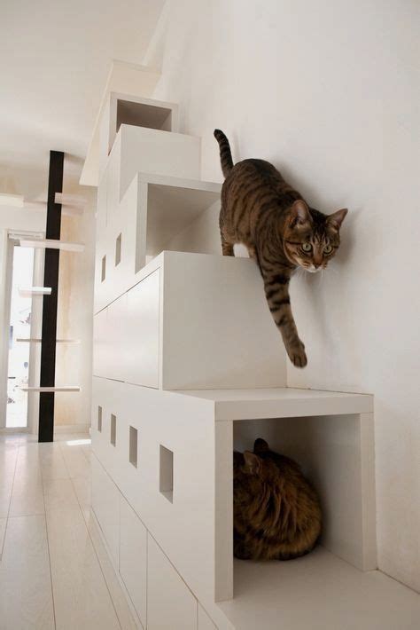 Catastrophicreations Gardens Set For Cats Multiple Level Wall Mounted