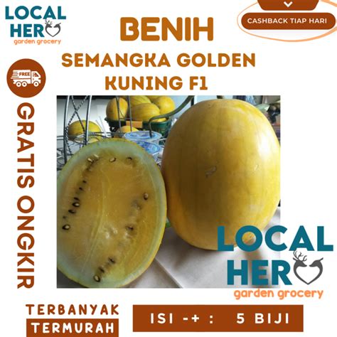 5 Benih Semangka Golden Kuning F1 Hibrida Inden Bibit Tanaman Buah