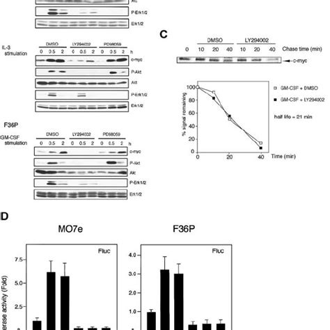 Involvement Of Pi K Pathway During Ires Mediated C Myc Protein