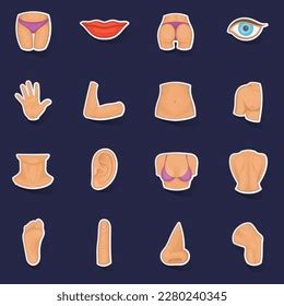 Body Parts Icons Set Stikers Collection Stock Vector Royalty Free