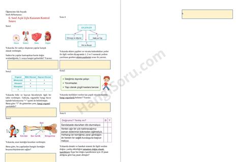 6 Sınıf Fen Bilimleri 1 Ünite Açık Uçlu Sorular HangiSoru