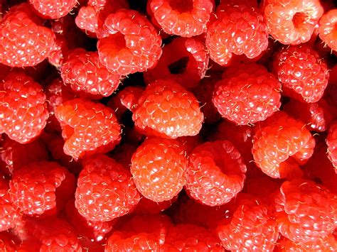 Fond d écran aliments rouge fruit des fraises lumière plante