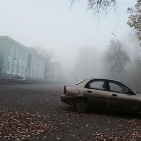 Левшино - Neighborhood